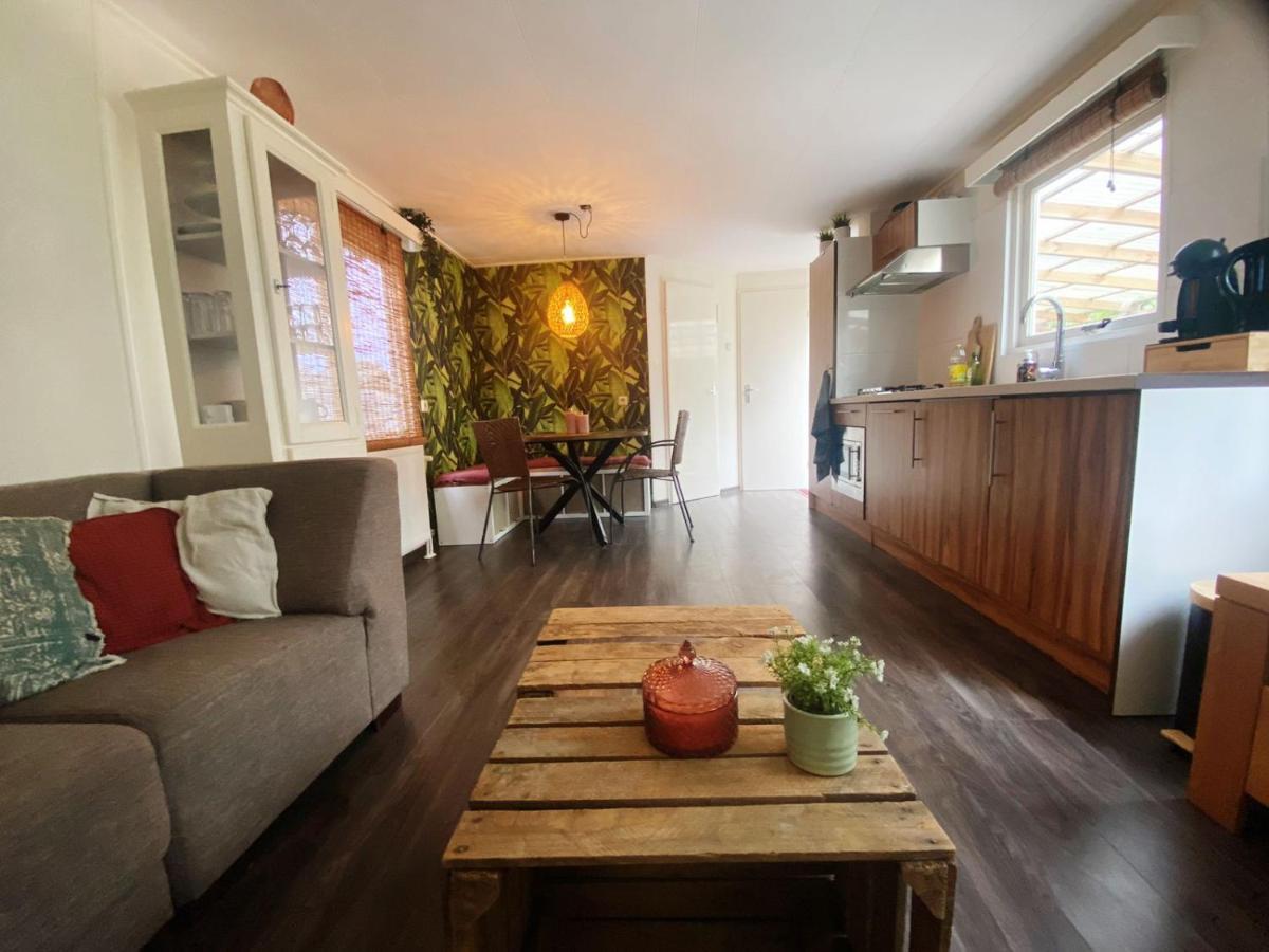Chalet With Access To The Woods - No 147 Anloo Extérieur photo