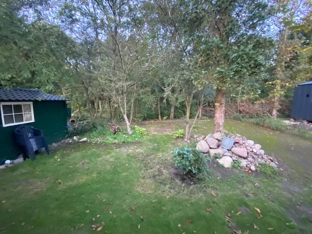 Chalet With Access To The Woods - No 147 Anloo Extérieur photo